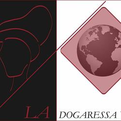 La Dogaressa Viaggi Lido di Venezia, orari di apertura