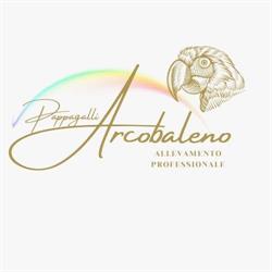 Allevamento Pappagalli Arcobaleno, Saluggia orari di apertura