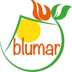 Blumar, San Germano Chisone orari di apertura