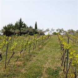Casale Mon Rahal, Monreale orari di apertura