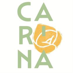 Carina - Sfoglia Rina Pasta Bar, Casalecchio di Reno orari di apertura