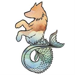 Wolfish, Rimini orari di apertura