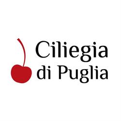 Ciliegia di Puglia, Sammichele di Bari orari di apertura
