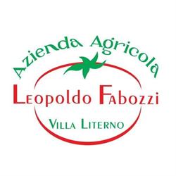 Azienda Agricola Fabozzi, Villa Literno orari di apertura