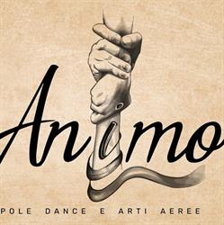 Animo Pole dance e Arti aeree asd- Pietrasanta, orari di apertura