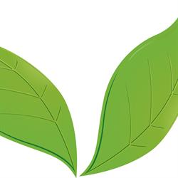 Greentime, Podenzano orari di apertura