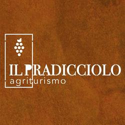 Agriturismo B&B "Il Pradicciolo", Castelnuovo di Garfagnana orari di apertura