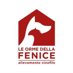 Allevamento Le Orme della Fenice, Nuvolento orari di apertura