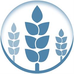 Centro Reiki - Le Tre Spighe, Torino orari di apertura