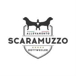 Allevamento Scaramuzzo - Rottweiler e Corso, Rieti orari di apertura