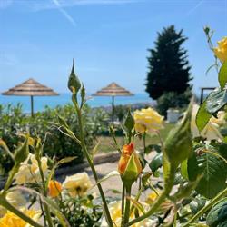 Countryhouse Luce Sulla Collina, Fermo orari di apertura