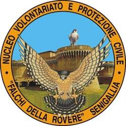 Associazione di Volontariato e Protezione Civile Falchi della Rovere, Senigallia orari di apertura