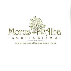 Agriturismo Morus Alba Gargano, Ischitella orari di apertura