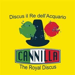 I Discus di Cannilla The Royal Discus Aperti solo su appuntamento, Corsico orari di apertura