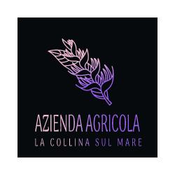Azienda Agricola La Collina Sul Mare, Sant'Elpidio a Mare orari di apertura