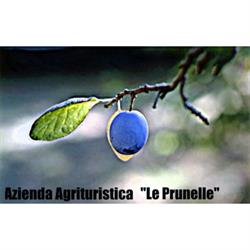 Agriturismo Le Prunelle, Cannalonga orari di apertura