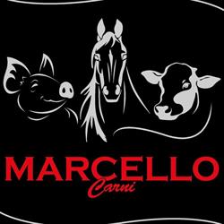 Marcello Carni, Acireale orari di apertura