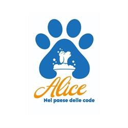 Alice Nel Paese Delle Code - Toeletta, Ladispoli orari di apertura