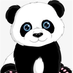 Il Panda scuola dell'infanzia paritaria, Maddaloni orari di apertura