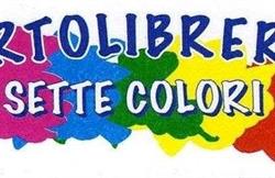 Cartoleria Sette Colori, Trepuzzi orari di apertura