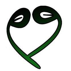 Greeny, Cagliari orari di apertura