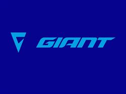 Isibike Giant Store Vicenza, Creazzo orari di apertura
