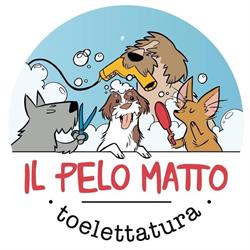 Il Pelo Matto Toelettatura, Legnano orari di apertura