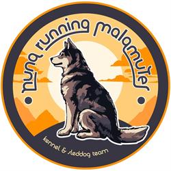 Nuna Malamutes - Allevamento Alaskan Malamute, Borgo Priolo orari di apertura