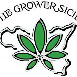 The Grower Sicily, Piedimonte Etneo orari di apertura