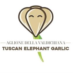 Aglione della Valdichiana - Agricola Laschi & Marchi S. S. - Tuscan Elephant Garlic, Sinalunga orari di apertura
