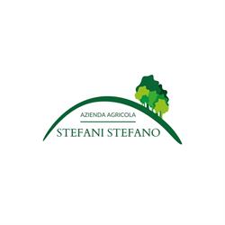 Azienda Agricola Stefani Stefano, Segromigno in Monte orari di apertura