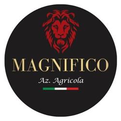 Azienda Agricola Magnifico, Casamassima orari di apertura