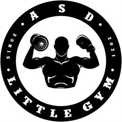 Asd Little Gym, Sesto San Giovanni orari di apertura