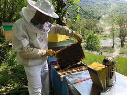 Apicoltura BeeSaga, Taceno orari di apertura