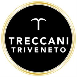 Agenzia Generale Treccani Triveneto, Padova orari di apertura