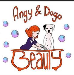 Angy & Dogo Beauty, Palermo orari di apertura