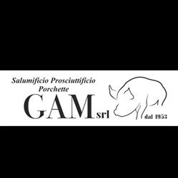 Gam Srl, Montefiascone orari di apertura