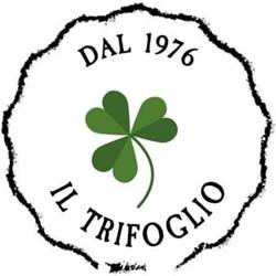 Il Trifoglio Ottica - Maiori, orari di apertura