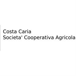 Costa Caria Societa' Cooperativa Agricola, Drapia orari di apertura