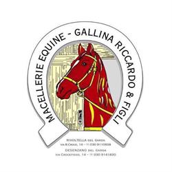 Macelleria equina Gallina Riccardo e figli SRL, Desenzano del Garda orari di apertura