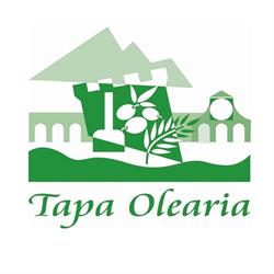 Tapa Olearia Sca, Vittorio Veneto orari di apertura