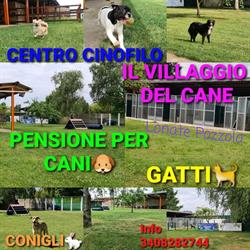 IL VILLAGGIO DEL CANE, Lonate Pozzolo orari di apertura
