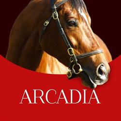 Centro Equino Arcadia, Villafranca Piemonte orari di apertura