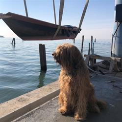 L’Onda di Venezia Srl, orari di apertura