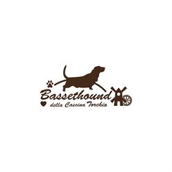 Allevamento Bassethound Della Cascina Torchio, Vaiano Cremasco orari di apertura