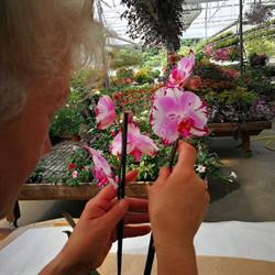 Floricoltura Stell, Gonars orari di apertura