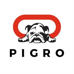 Pigro Store, Firenze orari di apertura