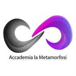 Accademia La Metamorfosi, Latina orari di apertura