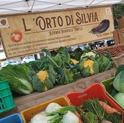 L'orto di Silvia Montechiarugolo, Basilicanova - Orari di apertura