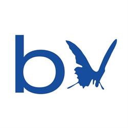 Baia Blu Beach, Caorle orari di apertura